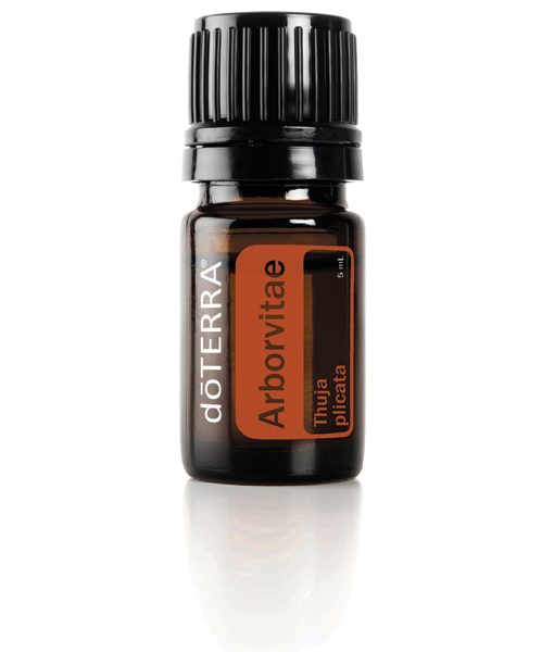 Arborvitae