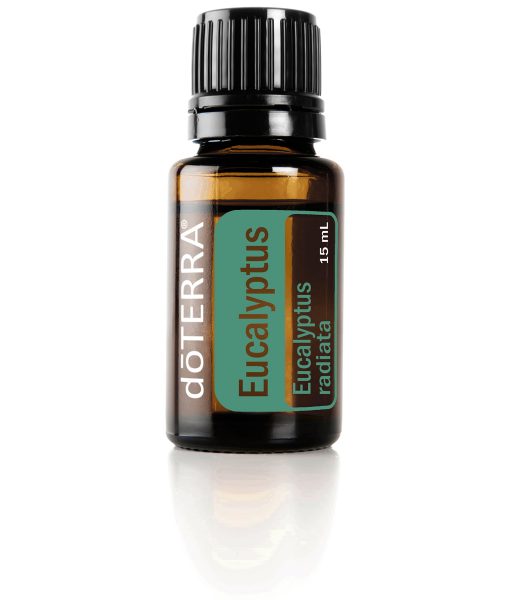 Eucalyptus
