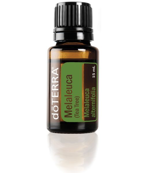 Melaleuca (Tea Tree)