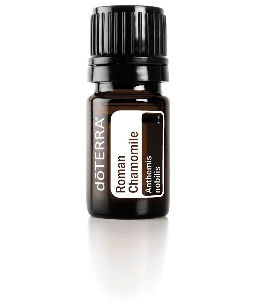 Roman Chamomile