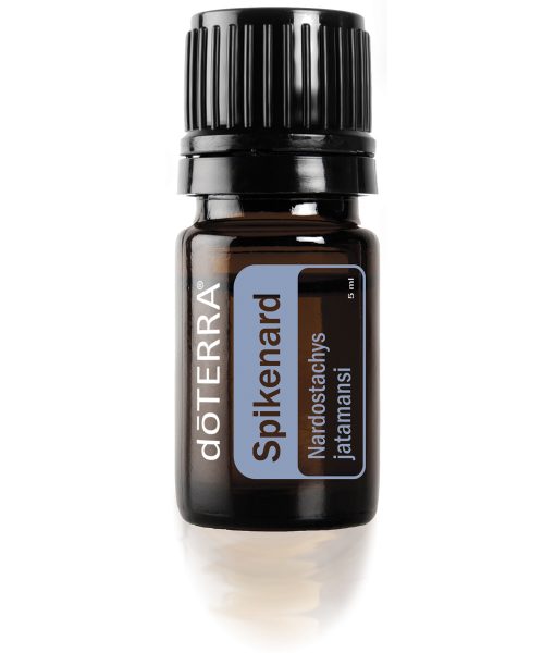 Spikenard